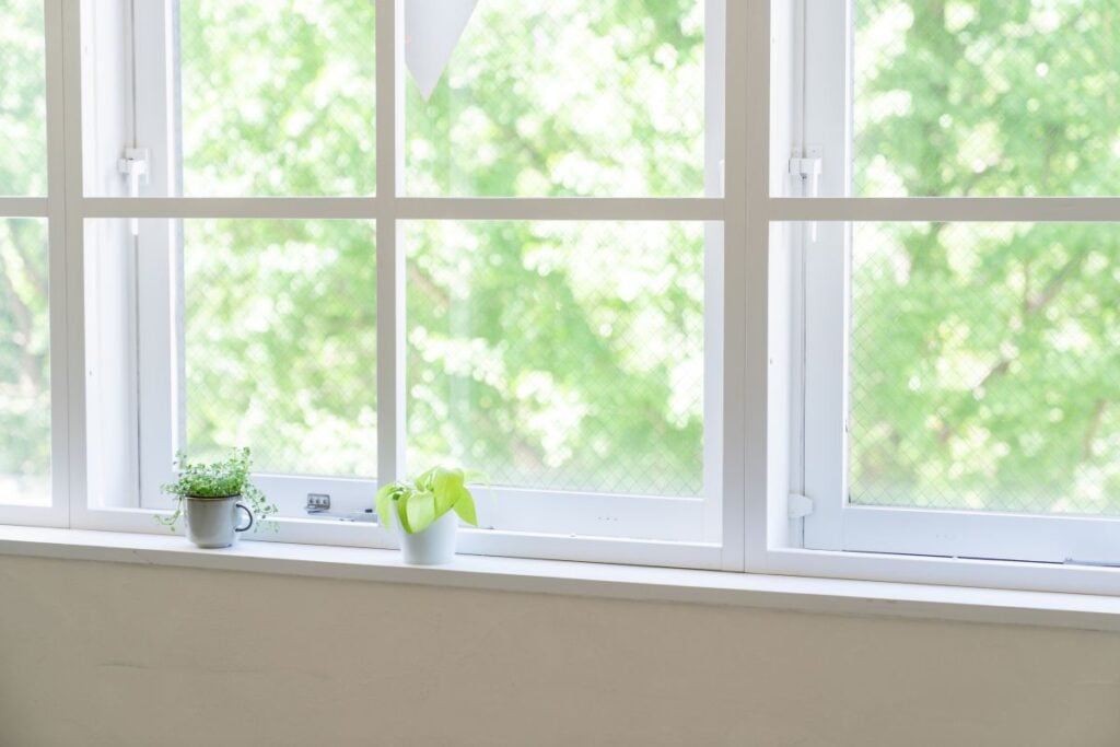 small plants in a windowsill