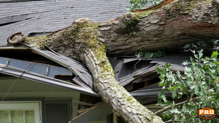 large tree branch fallen into house with asphalt shingle roof